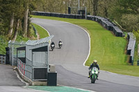 Lower Group Green Bikes